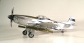 Hasegawa 1/48 P-51D Mustang