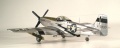 Hasegawa 1/48 P-51D Mustang