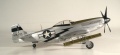 Hasegawa 1/48 P-51D Mustang