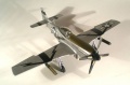 Hasegawa 1/48 P-51D Mustang