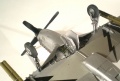 Hasegawa 1/48 P-51D Mustang