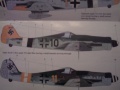 Tamiya 1/48 Fw-190D -   