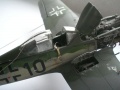 Tamiya 1/48 Fw-190D -   