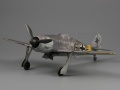 Hasegawa 1/48 Fw-190A-5