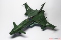 Hasegawa 1/72 Space Wolf SW-190