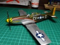 Tamiya 1/48 P-51D-15-NA - The Millie G