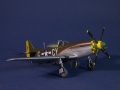 Tamiya 1/48 P-51D-15-NA - The Millie G