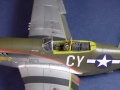 Tamiya 1/48 P-51D-15-NA - The Millie G