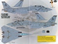   Fightertown 1/48 F-14A VF-84  Victory in Storm