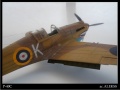 Trumpeter 1/48 P-40C Tomahawk