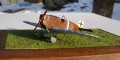 Roden 1/72 Junkers D.I -  