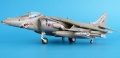 Revell/Hasegawa 1/48 Harrier GR.7 Operation Telic