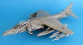 Revell/Hasegawa 1/48 Harrier GR.7 Operation Telic