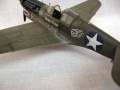 Hasegawa 1/48 P-40E Kittyhawk Bob's Robin