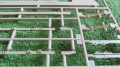  Tacom 1/35 - -   