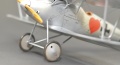 Roden 1/32 Pfalz D.III