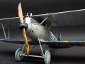 Wingnut Wings 1/32 Pfalz D.IIIa -  