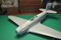 ModelSvit 1/48 -1 -    