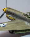 Hasegawa+Eduard+MK+Master 1/48 P-40N Warhawk