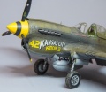 Hasegawa+Eduard+MK+Master 1/48 P-40N Warhawk