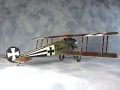 Special Hobby 1/48 Fokker D.II