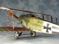 Special Hobby 1/48 Fokker D.II