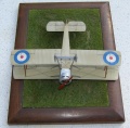   1/72 Sopwith-Strutter 