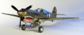 Hasegawa 1/48 P-40E Kittyhawk    !