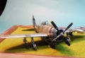 Tamiya 1/48 P-47D Thunderbolt -     