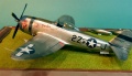 Tamiya 1/48 P-47D Thunderbolt -     