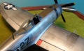 Tamiya 1/48 P-47D Thunderbolt -     