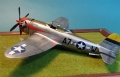 Tamiya 1/48 P-47D Thunderbolt -     