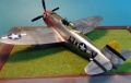 Tamiya 1/48 P-47D Thunderbolt -     