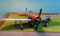 Tamiya 1/48 P-47D Thunderbolt -     