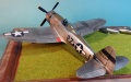 Tamiya 1/48 P-47D Thunderbolt -     