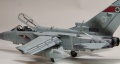 Hasegawa 1/72 Tornado ADV F-3