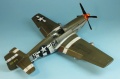 Tamiya 1/48 P-51B-10 Mustang - John Pughs Geronimo