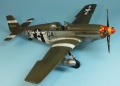 Tamiya 1/48 P-51B-10 Mustang - John Pughs Geronimo