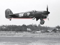  1/72 Hawker Typhoon 1B -   