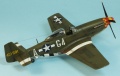 Tamiya 1/72 P-51D-5 Mustang Arval J. Roberson