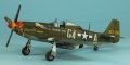 Tamiya 1/72 P-51D-5 Mustang Arval J. Roberson