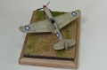 Special Hobby 1/72 P-40F-1 Warhawk