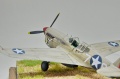 Special Hobby 1/72 P-40F-1 Warhawk