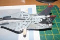 Hasegawa 1/72 F-14D Grim Reapers