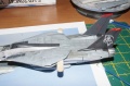 Hasegawa 1/72 F-14D Grim Reapers