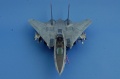 Hasegawa 1/72 F-14D Grim Reapers