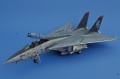 Hasegawa 1/72 F-14D Grim Reapers