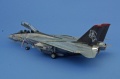 Hasegawa 1/72 F-14D Grim Reapers