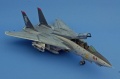 Hasegawa 1/72 F-14D Grim Reapers