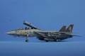 Hasegawa 1/72 F-14D Grim Reapers